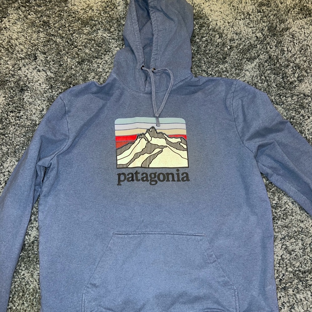 Mens Patagonia hoodie